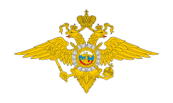 МВД РФ