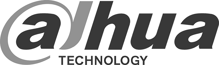 dahua